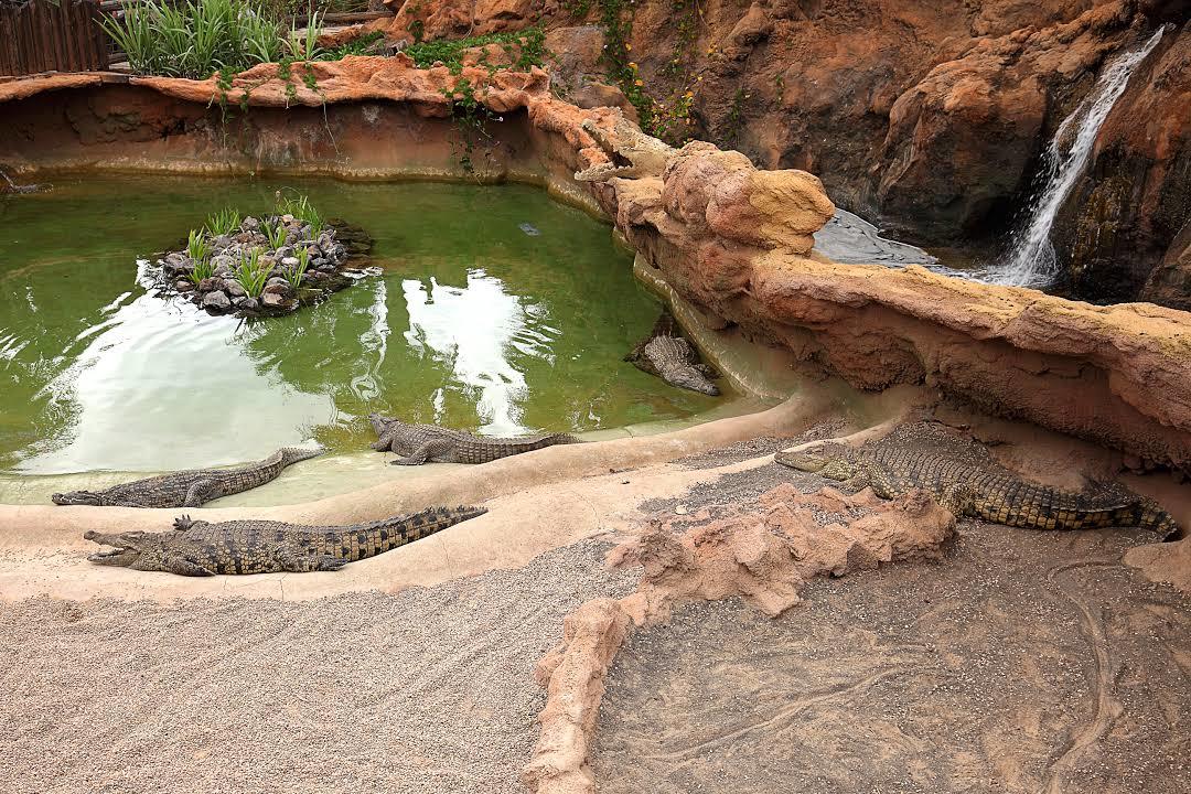 Zoo Rancho Texas Lanzarote Park